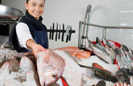 Fish Deli2